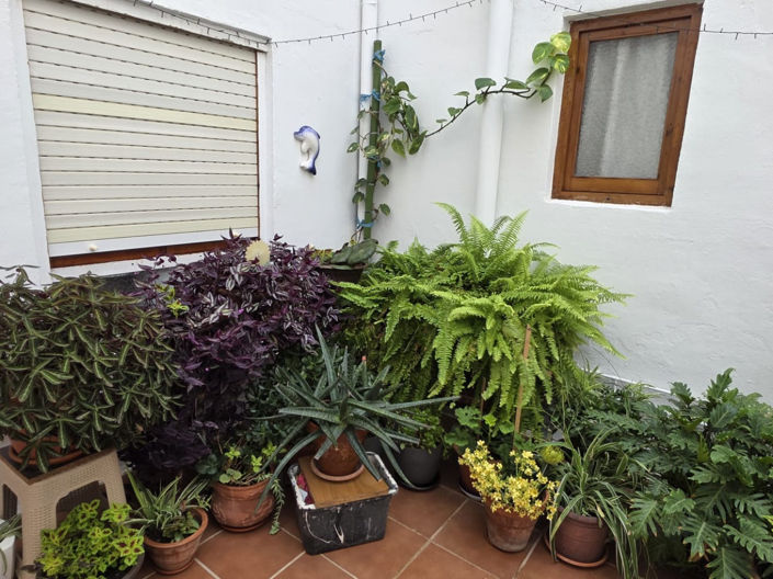 Image No.1-4 Bed Apartment for sale