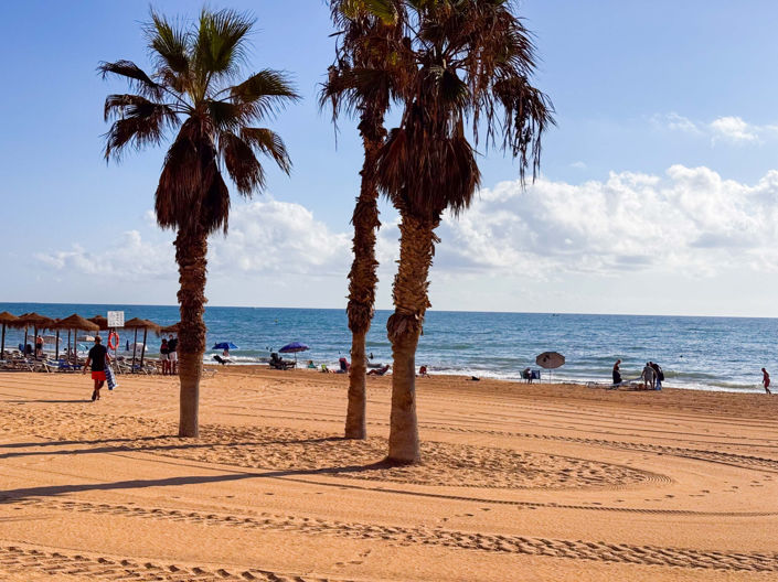 Image No.23-1 Bed Apartment for sale