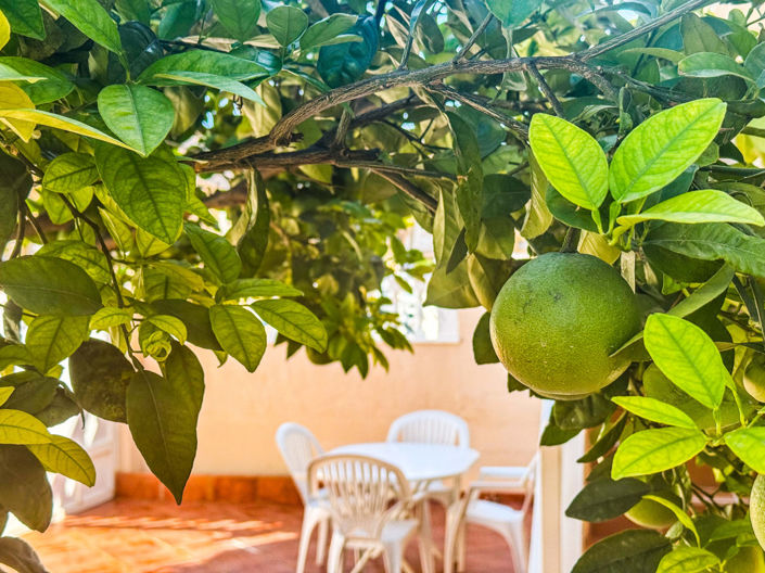 Image No.41-Villa de 2 chambres à vendre à Torrevieja