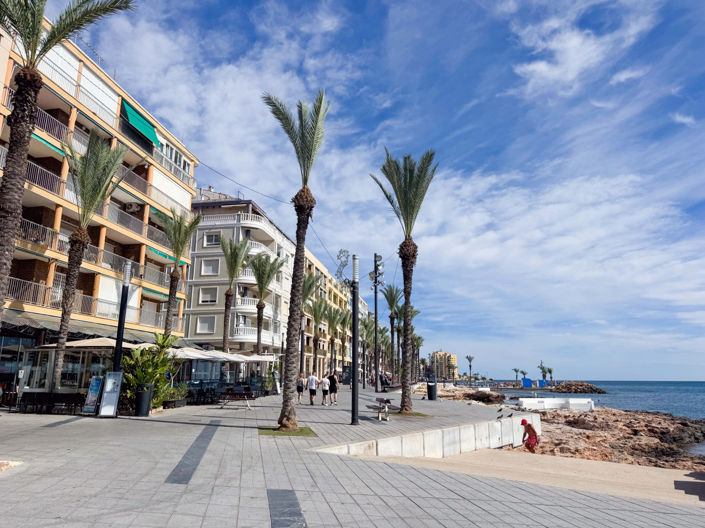 Image No.19-Appartement de 3 chambres à vendre à Torrevieja