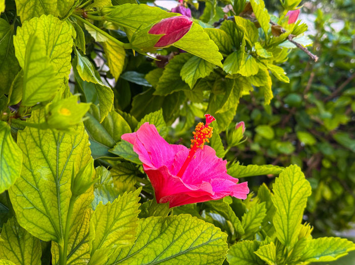 Image No.1-1 Bed Apartment for sale