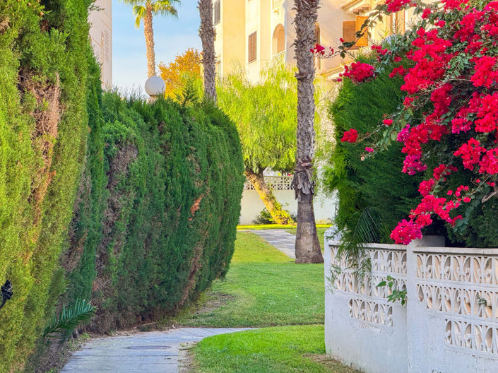 Image No.28-1 Bed Apartment for sale