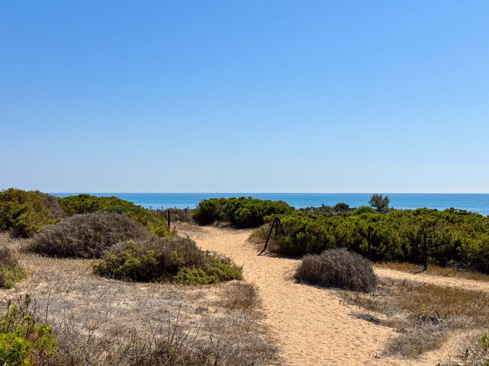 Image No.33-3 Bed Apartment for sale