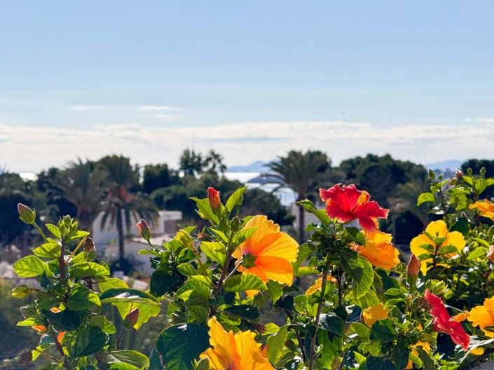 Image No.28-2 Bed Apartment for sale