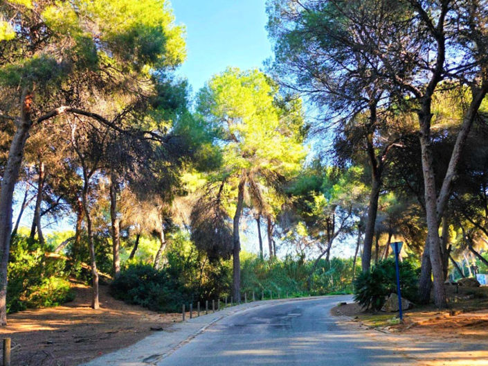 Image No.3-5 Bed Villa for sale