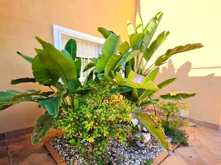 Image No.37-5 Bed Villa for sale