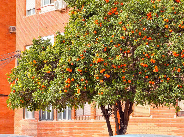 Image No.2-3 Bed Apartment for sale