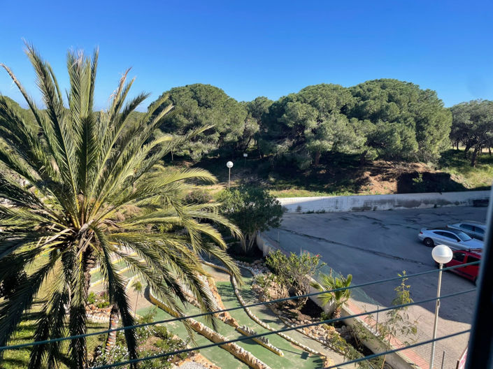 Image No.13-Appartement de 2 chambres à vendre à Guardamar del Segura