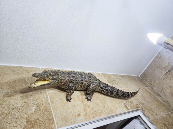 Image No.9-3 Bed Townhouse for sale