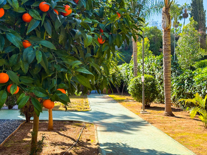 Image No.29-Appartement de 2 chambres à vendre à Marbella