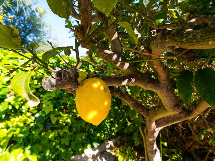 Image No.18-3 Bed Villa for sale