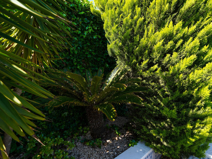 Image No.26-3 Bed Villa for sale