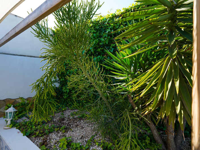 Image No.27-3 Bed Villa for sale