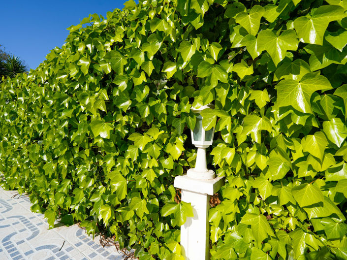 Image No.41-3 Bed Villa for sale