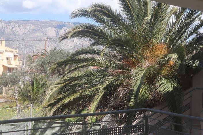 Image No.3-3 Bed Semi-Detached for sale