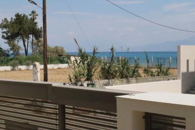 IMG_1737