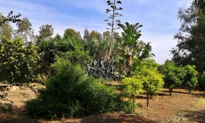 614384-detached-villa-for-sale-in-select-location_orig