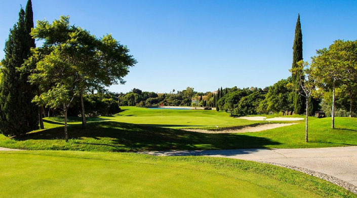 Image No.6-Propriété à vendre à Los Flamingos