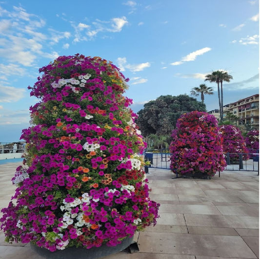 Image No.9-Maison de ville de 3 chambres à vendre à Estepona