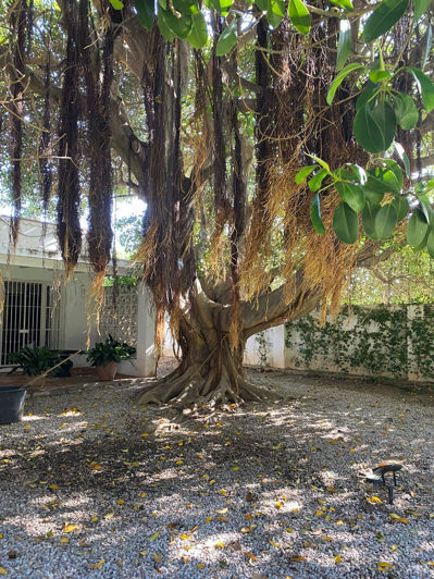 Image No.19-Villa de 4 chambres à vendre à Guadalmina Baja