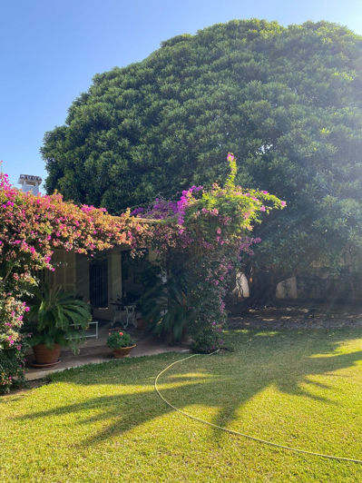 Image No.8-4 Bed Villa for sale