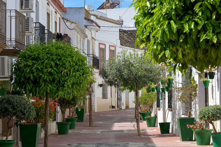 Image No.3-4 Bed Townhouse for sale