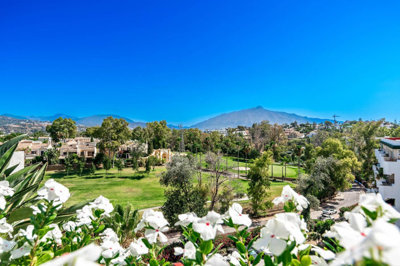 Costa del Sol Property most sold property