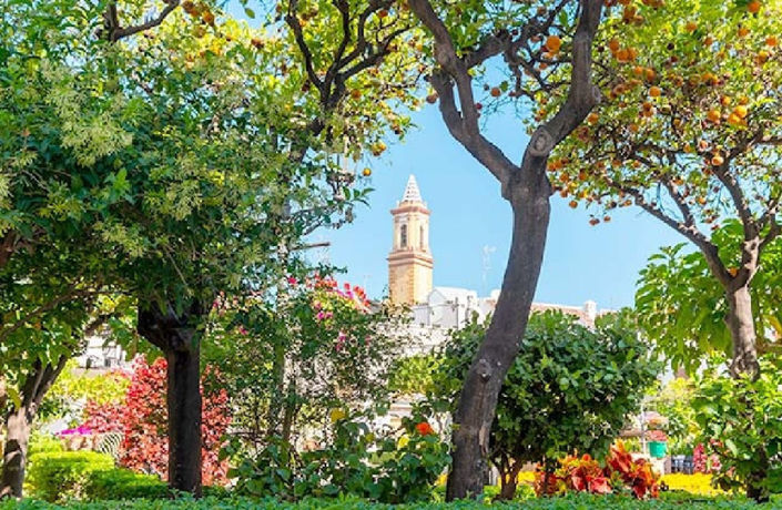 Image No.25-11 Bed Commercial for sale