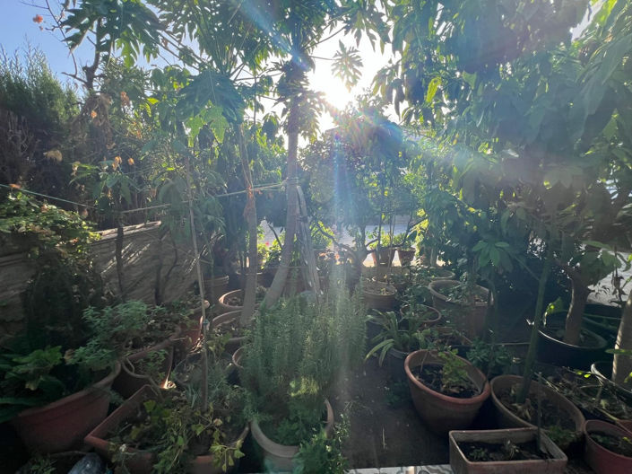 Image No.8-Villa de 7 chambres à vendre à Estepona