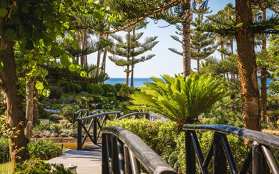 6-241328e1bcc9c0d8ce1222beb6c967a8