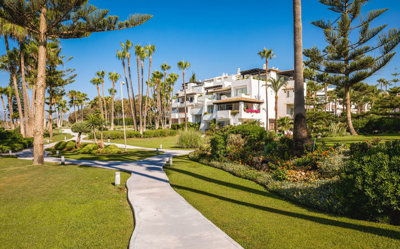 8-e64a9055bba3e77ac8aca3b893cdf826