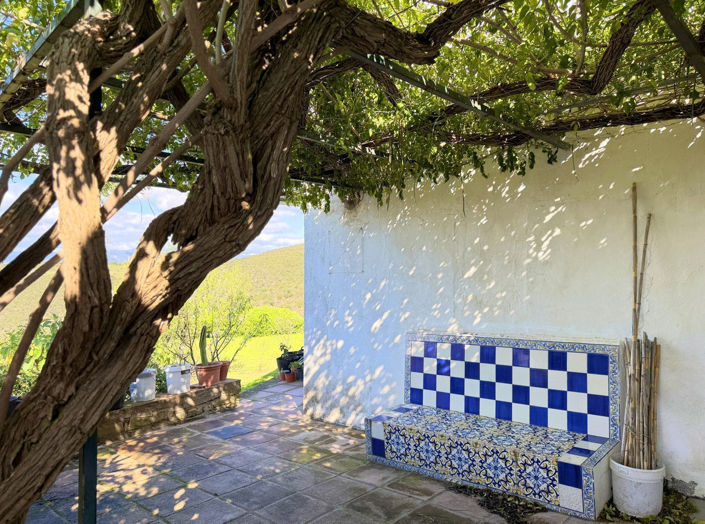 Image No.18-Commercial de 8 chambres à vendre à Casares