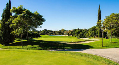 Costa del Sol Property most sold property