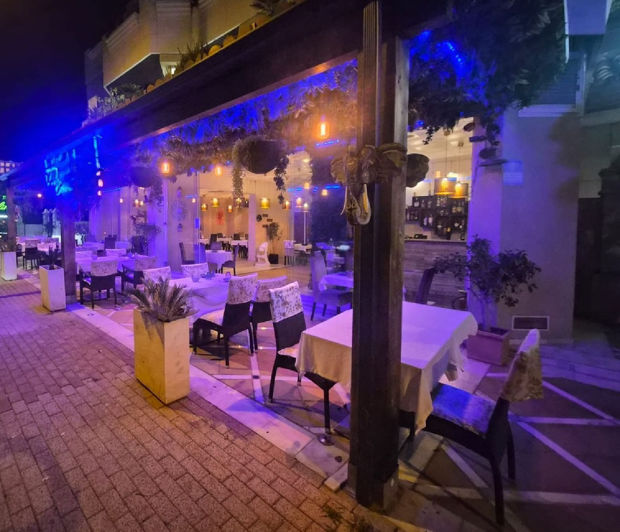 Image No.3-Commercial à vendre à Nueva Andalucia