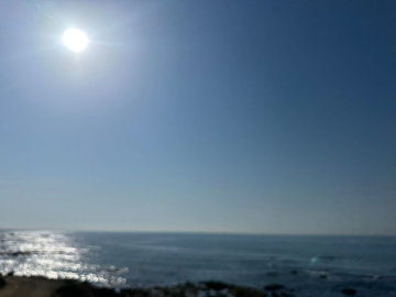 8-e64a9055bba3e77ac8aca3b893cdf826