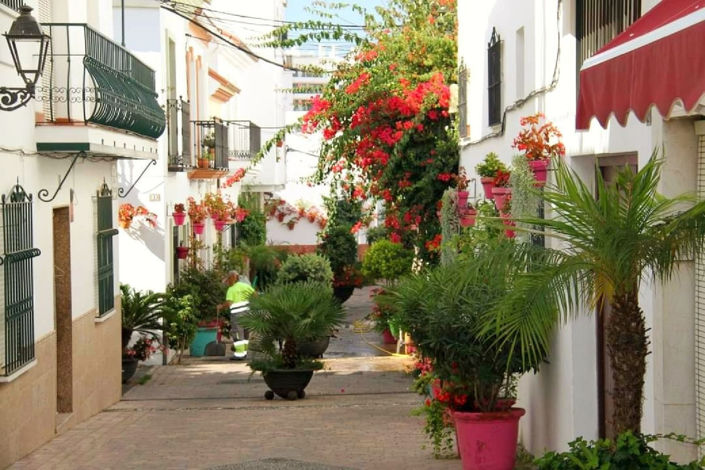 Image No.27-11 Bed Commercial for sale