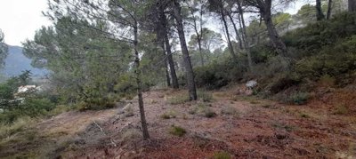 932-land-for-sale-in-alcalali-396220-large