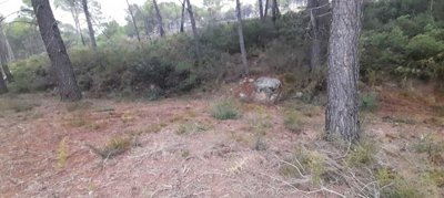 932-land-for-sale-in-alcalali-396215-large
