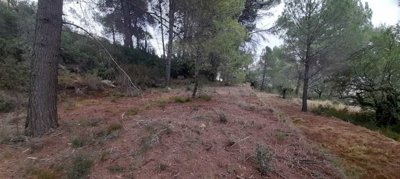 932-land-for-sale-in-alcalali-396216-large