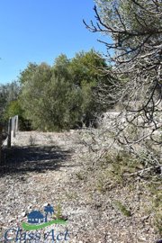 946-land-for-sale-in-alcalali-397279-large