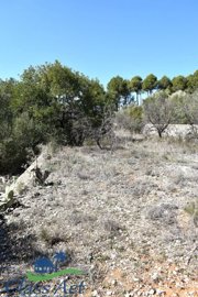 946-land-for-sale-in-alcalali-397280-large