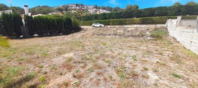 933-land-for-sale-in-alcalali-423525-large