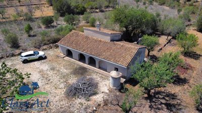 1014-finca-for-sale-in-parcent-427099-large