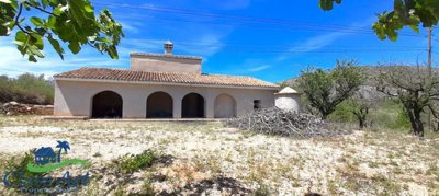 1014-finca-for-sale-in-parcent-426635-large