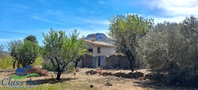 1014-finca-for-sale-in-parcent-426640-large