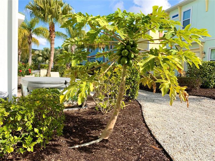 Image No.27-Propriété de 4 chambres à vendre à Kissimmee