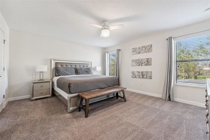 Image No.26-Propriété de 6 chambres à vendre à Davenport