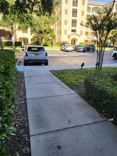 Image No.31-Propriété de 2 chambres à vendre à Orlando