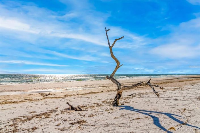 Image No.48-6 Bed Property for sale