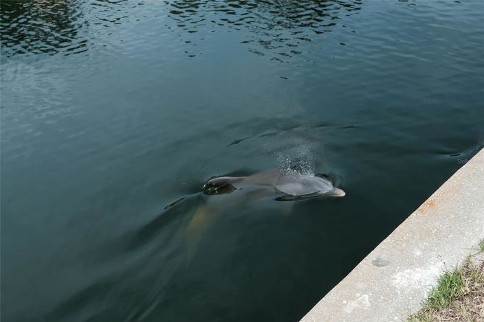 Image No.46-Propriété de 3 chambres à vendre à Longboat Key